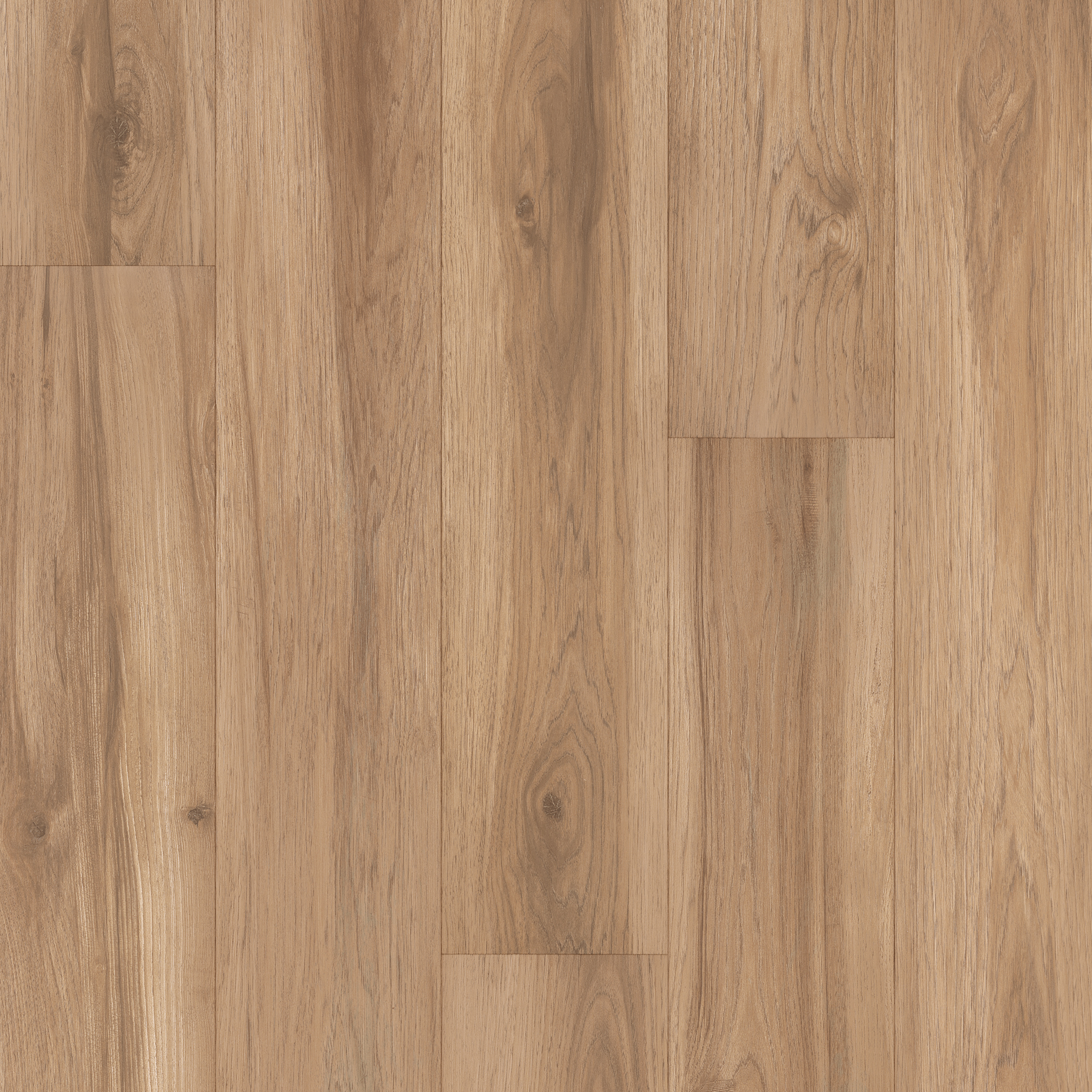 floor-img